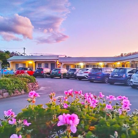 ביצ'אנו Wintersun Gardens Motel מראה חיצוני תמונה