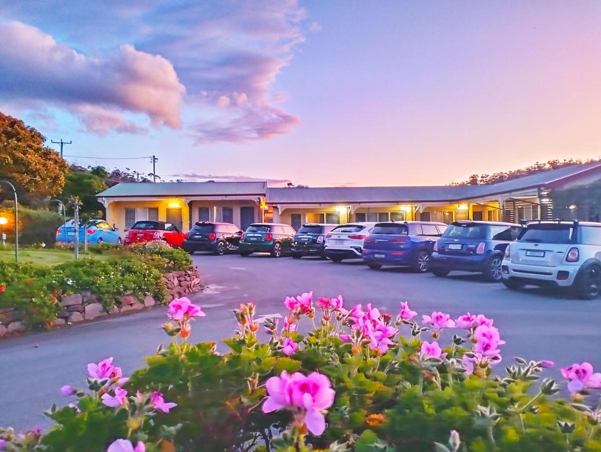 ביצ'אנו Wintersun Gardens Motel מראה חיצוני תמונה