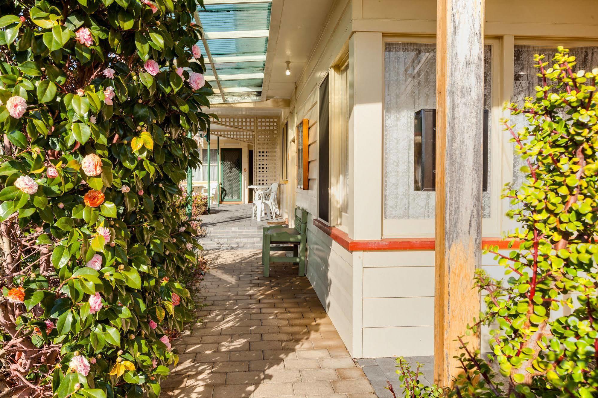 ביצ'אנו Wintersun Gardens Motel מראה חיצוני תמונה